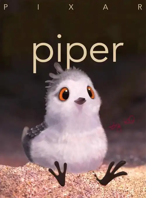 一部关于成长治愈系短片——《鹬》