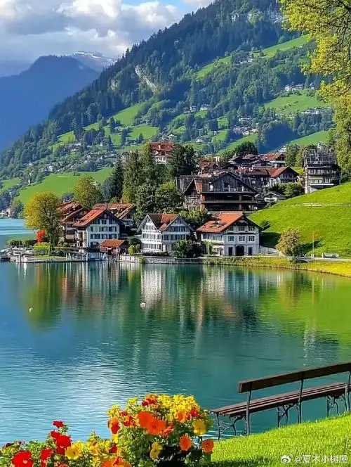 高清壁纸##风景##遇见艺术##遇见美好##萌宠##艺术设计##自然风光