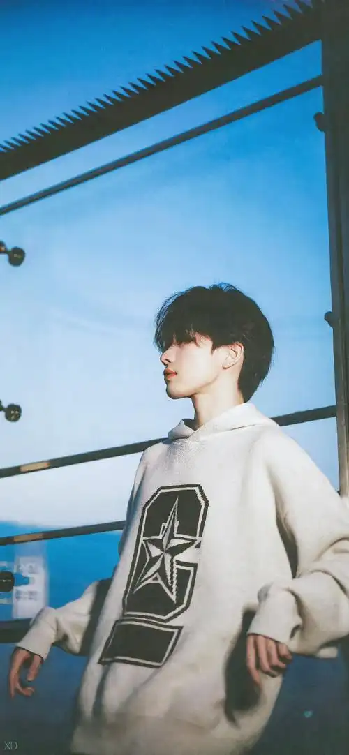 太适合当头像和壁纸99@ixform-连淮伟