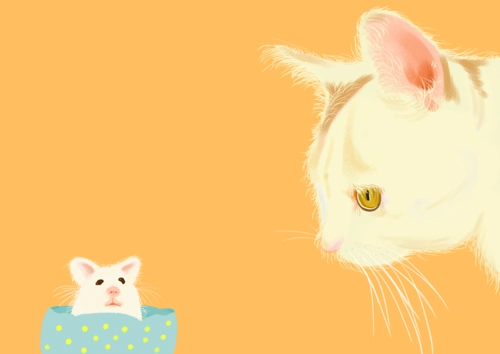 仓鼠和猫