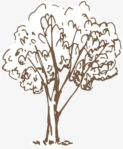 树木手绘树矢量图下载