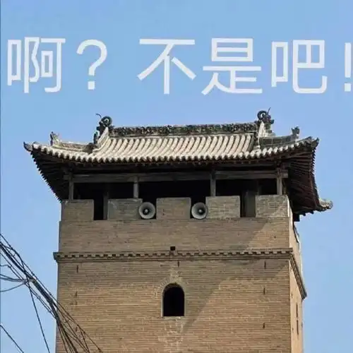 坑神景天的头像