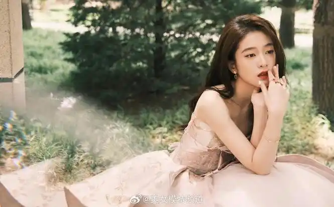 张雪迎刺绣长裙