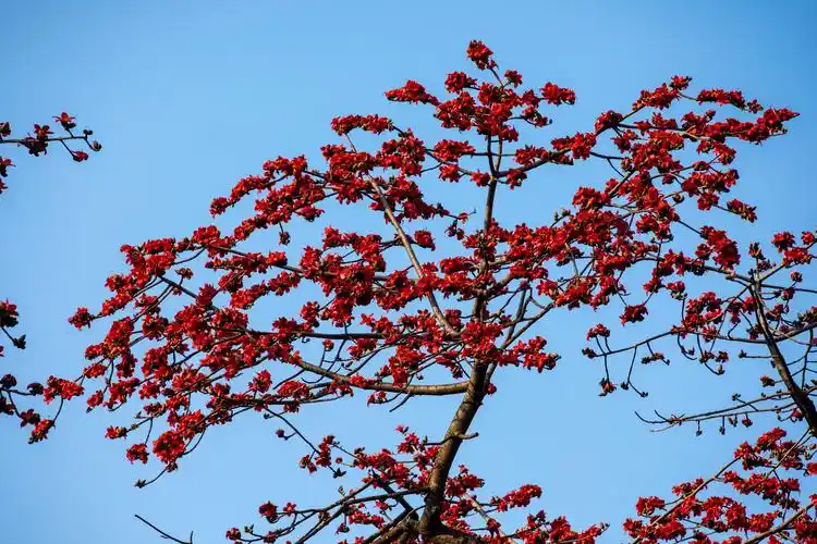 广州日报全媒体文字记者 全杰 通讯员 陈欣广州日报全媒体图片记者