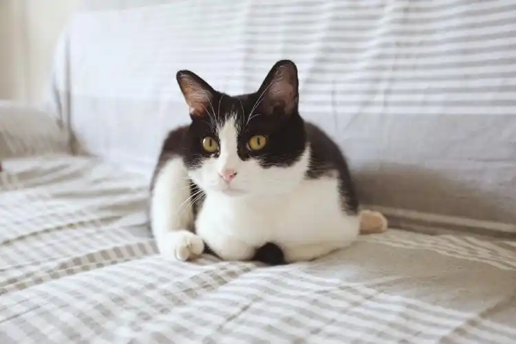 奇葩的坐姿-堆糖,美好生活研究所