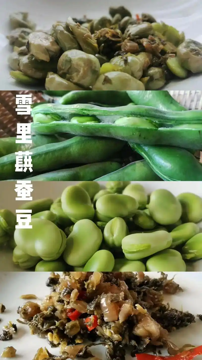 春天的蚕豆这么烧味道独特