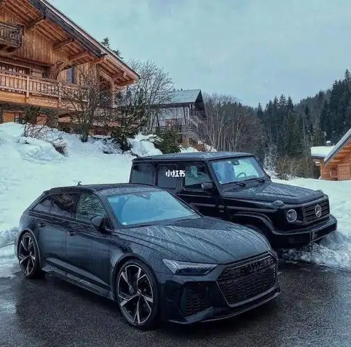 汽车人召集令  #奥迪rs6  #奔驰大g