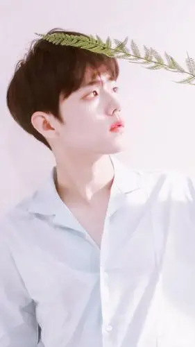 肖战:清风一般的美男子,喜欢你,不容言说