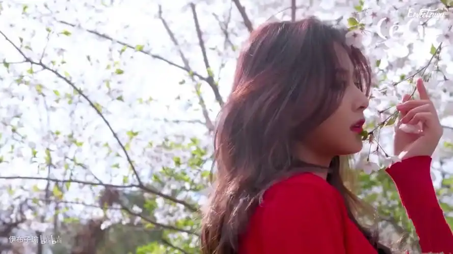 周子瑜 - 堆糖,美图壁纸兴趣社区