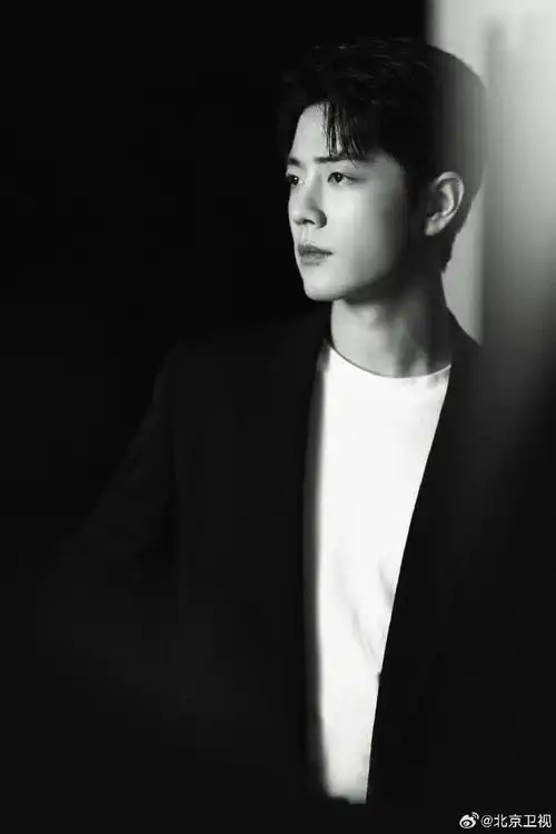 肖战黑白大片霸气外露