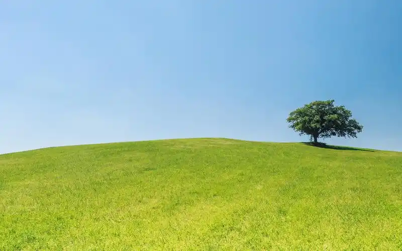 草原风景高清电脑桌面壁纸图片