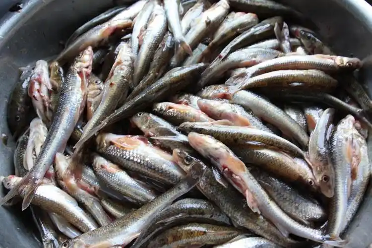 直指江山五万里(90天环游中国转帖连载7)