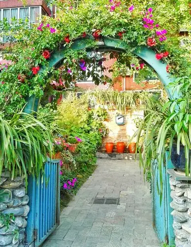 开满鲜花的小院