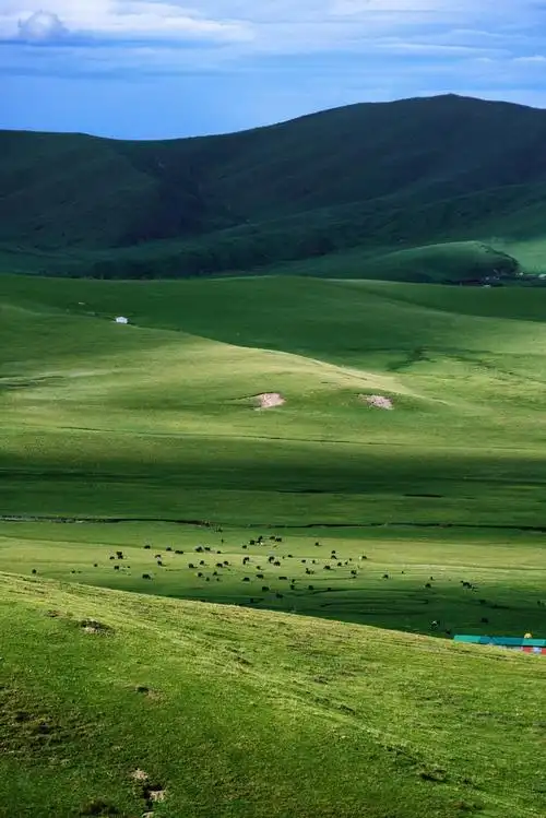 今天来点绿色保持好心情,这组绿色护眼美景壁纸请收好～ ?图片来源:视
