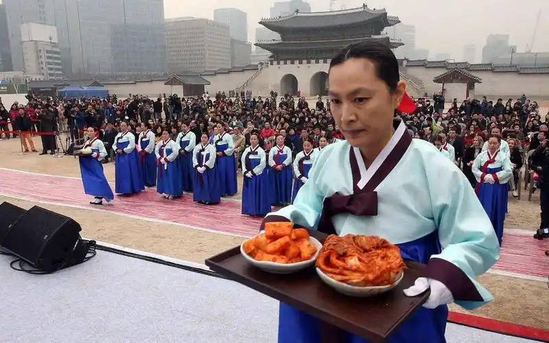 身土不二的韩国人,快吃不起白菜了.