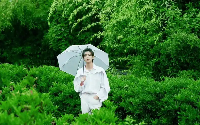 任嘉伦高清壁纸