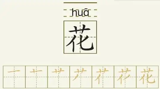 花字的拼音和书写笔画的图片展示