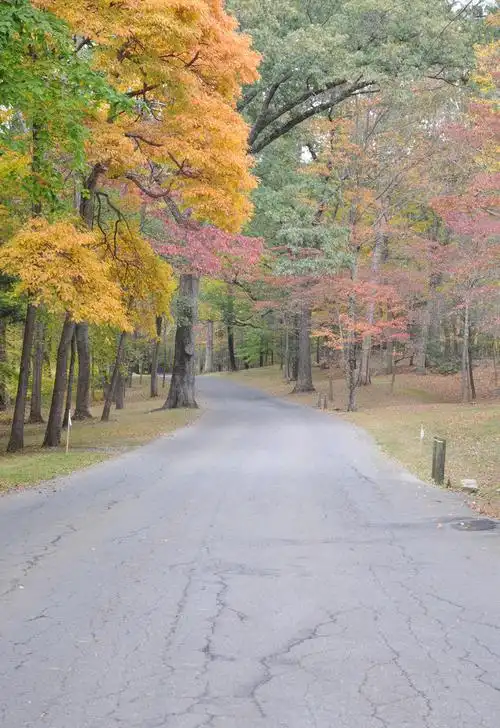 最好的时光都在路上