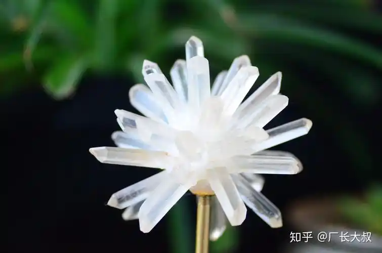 这也是水晶厂长带你看不一样的水晶