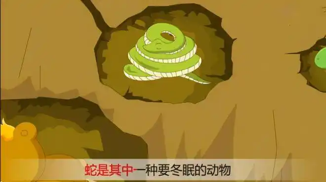 蛇为什么要冬眠在冬眠的时候遇到天敌怎么办