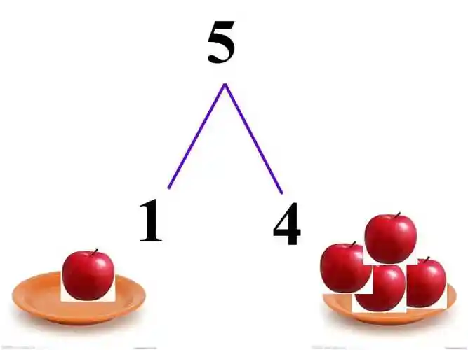 5的分解组合与加减法ppt