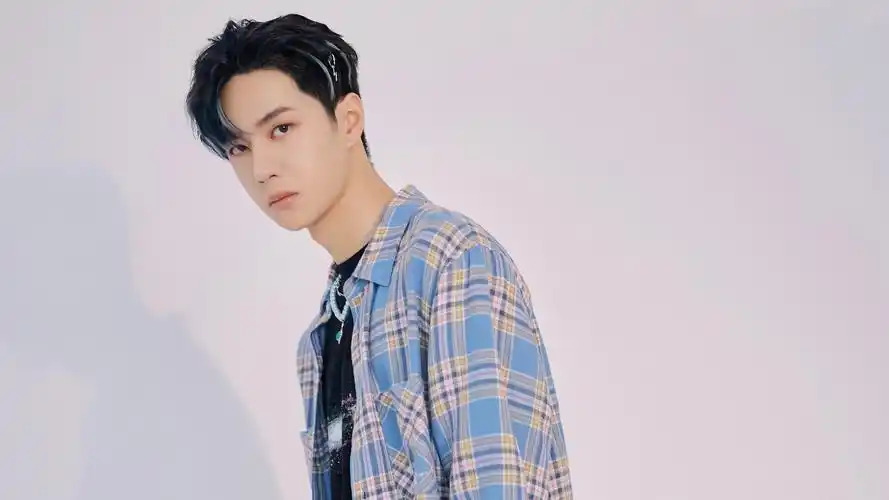 王一博蓝色格纹衬衫帅气图片壁纸_大陆明星_壁纸下载_美桌网