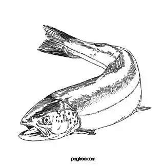 i>黑 /i>色 i>手 /i> i>绘 /i>一条 i>鱼 /i>张嘴巴