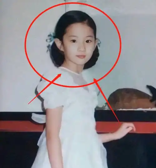 有种"童年照"叫刘亦菲,五官没有变化就算了,这气质真让人叫绝