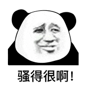 (熊猫头表情包)_骚得_熊猫表情