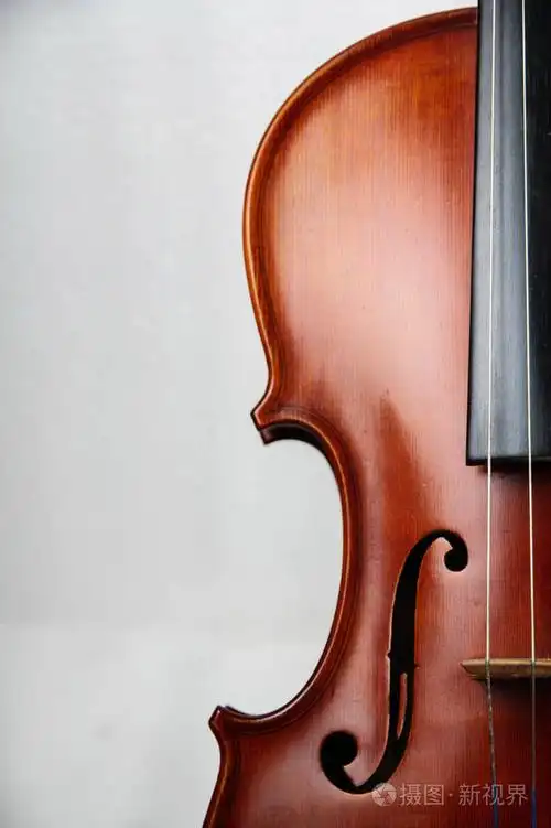 特写木制小提琴的半前侧在白色背景的右侧