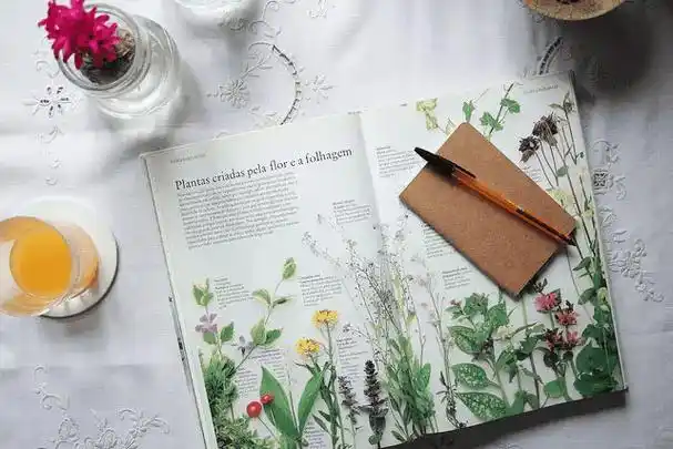 除了插花,花草还可以这么玩_paula_植物_生活