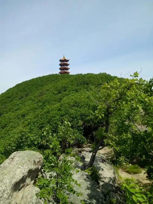 密山,凌源,杨杖子