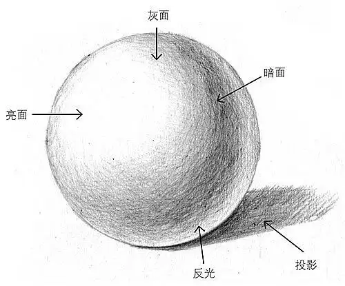 球素描具体步骤图片教程