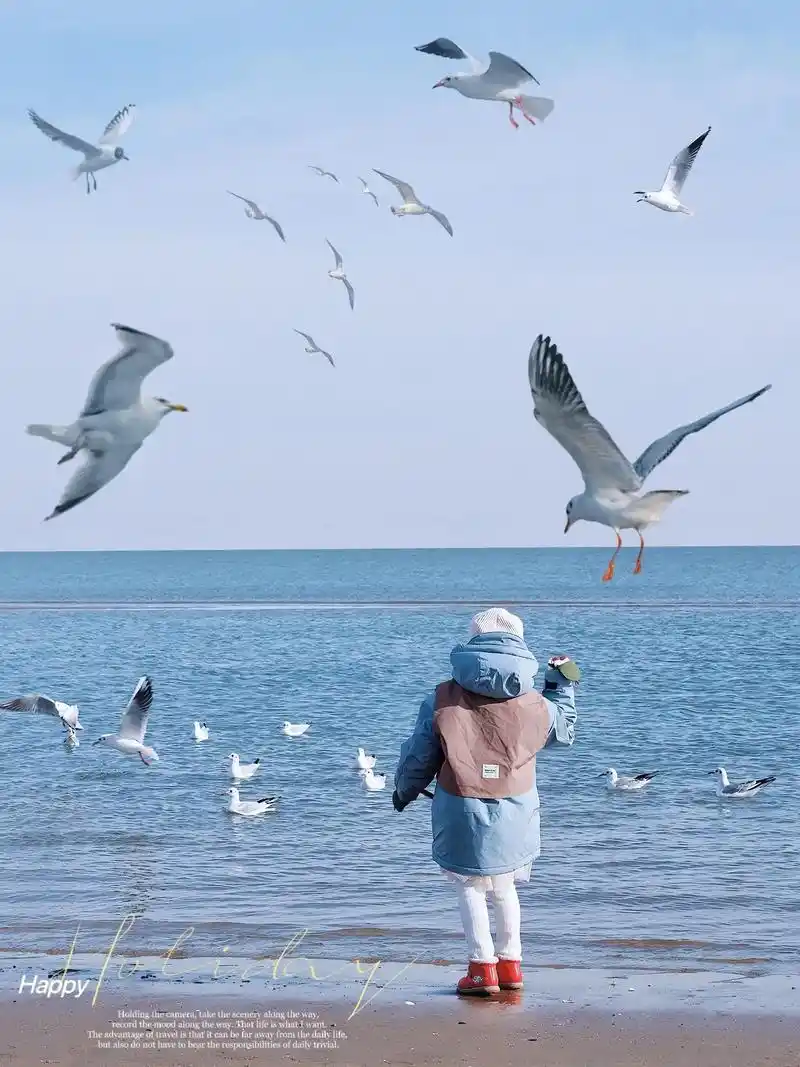 去看冬日的海#带你去看海鸥和大海 #去有风的地方看海鸥飞翔 - 抖音