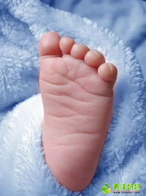 03 【尊月奕妍杯】怀孕日记—我们的蜜月宝宝(更新中妇四维流程)