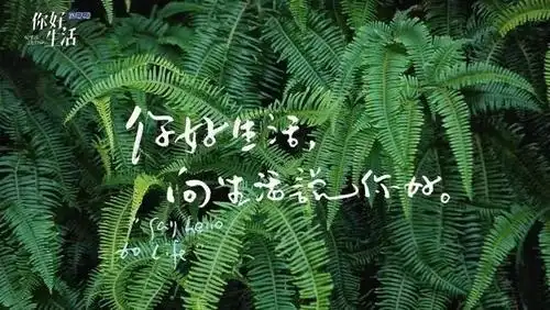 总台慢综艺柔中见刚:《你好生活》写了首内核很燃的青春散文诗