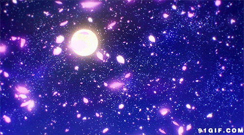 月亮唯美图片:月亮,唯美,花瓣