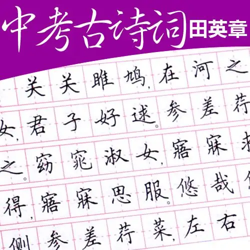 衡水体中文字帖初中生楷书练字田英章衡水中学生硬笔钢笔临摹字帖