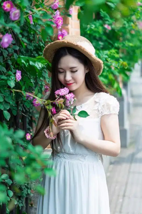 乐凡的最新作品