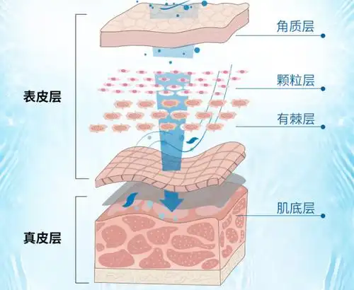 皮肤屏障受损怎么办修复有三招