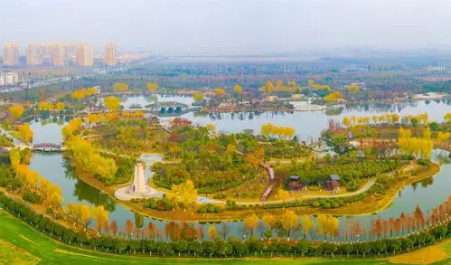 泗洪公园冬景如画