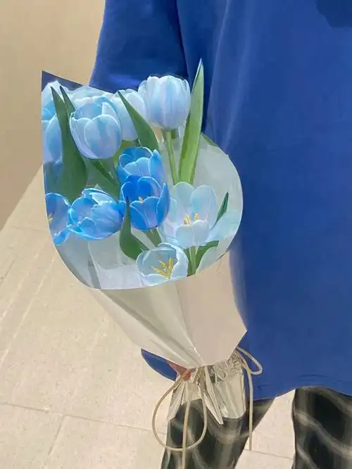 蓝色郁金香