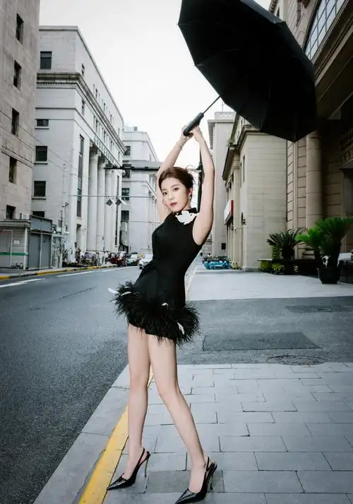 万鹏清冷黑天鹅