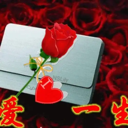 甘心情愿爱着你【冷漠制作】