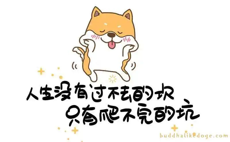 人生就是一个坑