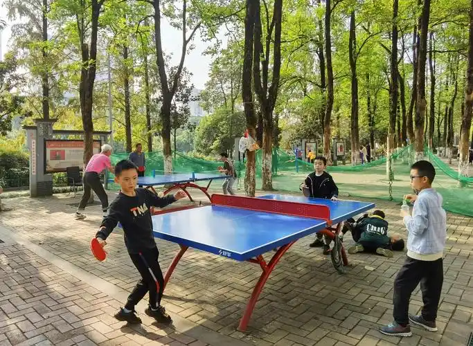 成都人的幸福生活 - 美篇