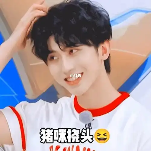 蔡徐坤表情包  猪咪上线0000太可爱了吧