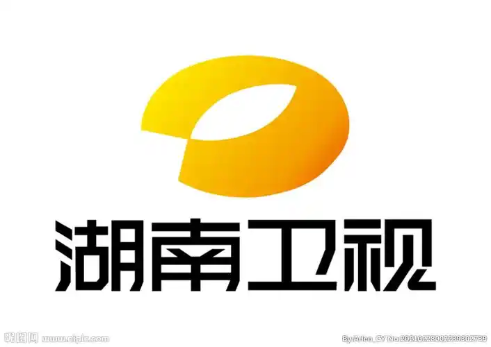 湖南卫视 标志 logo设计图__公共标识标志_标志图标_设计图库_昵图网