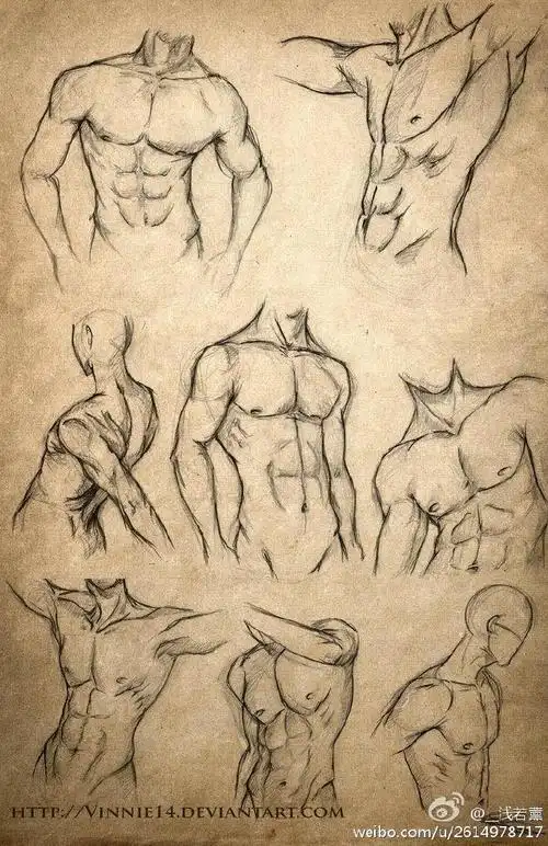 腹肌腹肌.不会画这种东西.画师真厉害.#每日一幅,简笔画