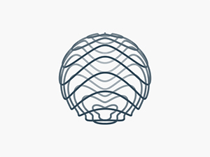 圈圈圆圆圈圈,跟着这些无限循环的gif转起来!